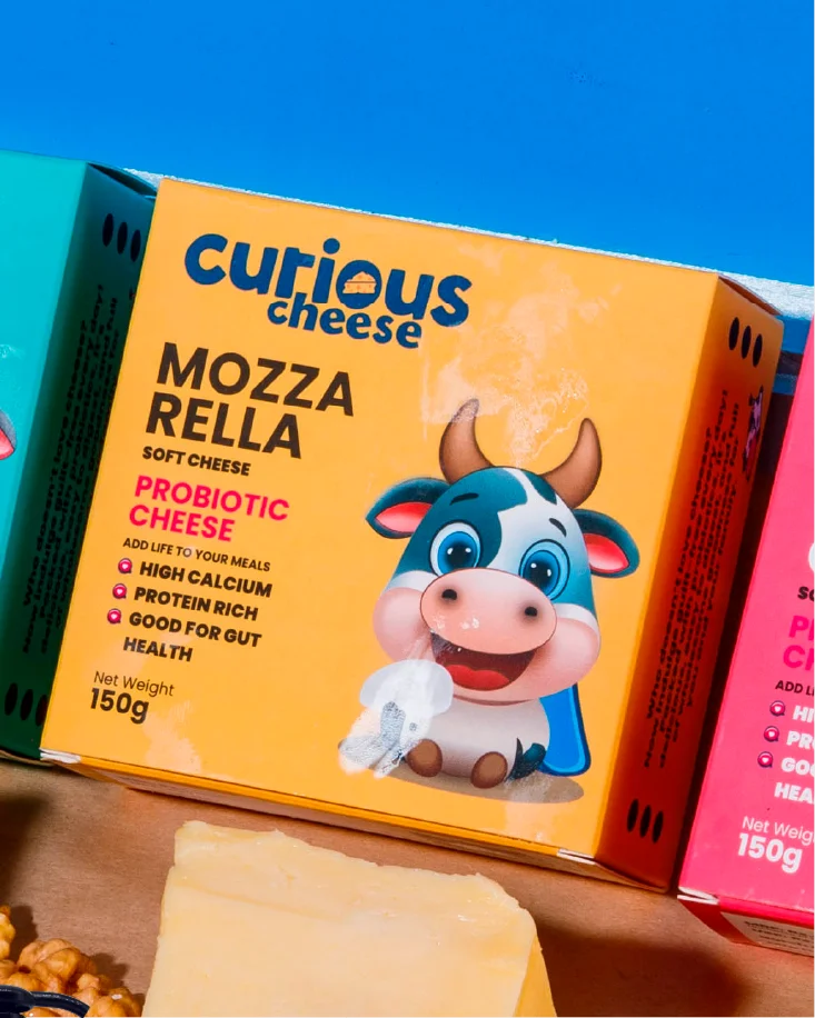 CURIOUS CHEESE: Introducing India’s first probiotic cheese